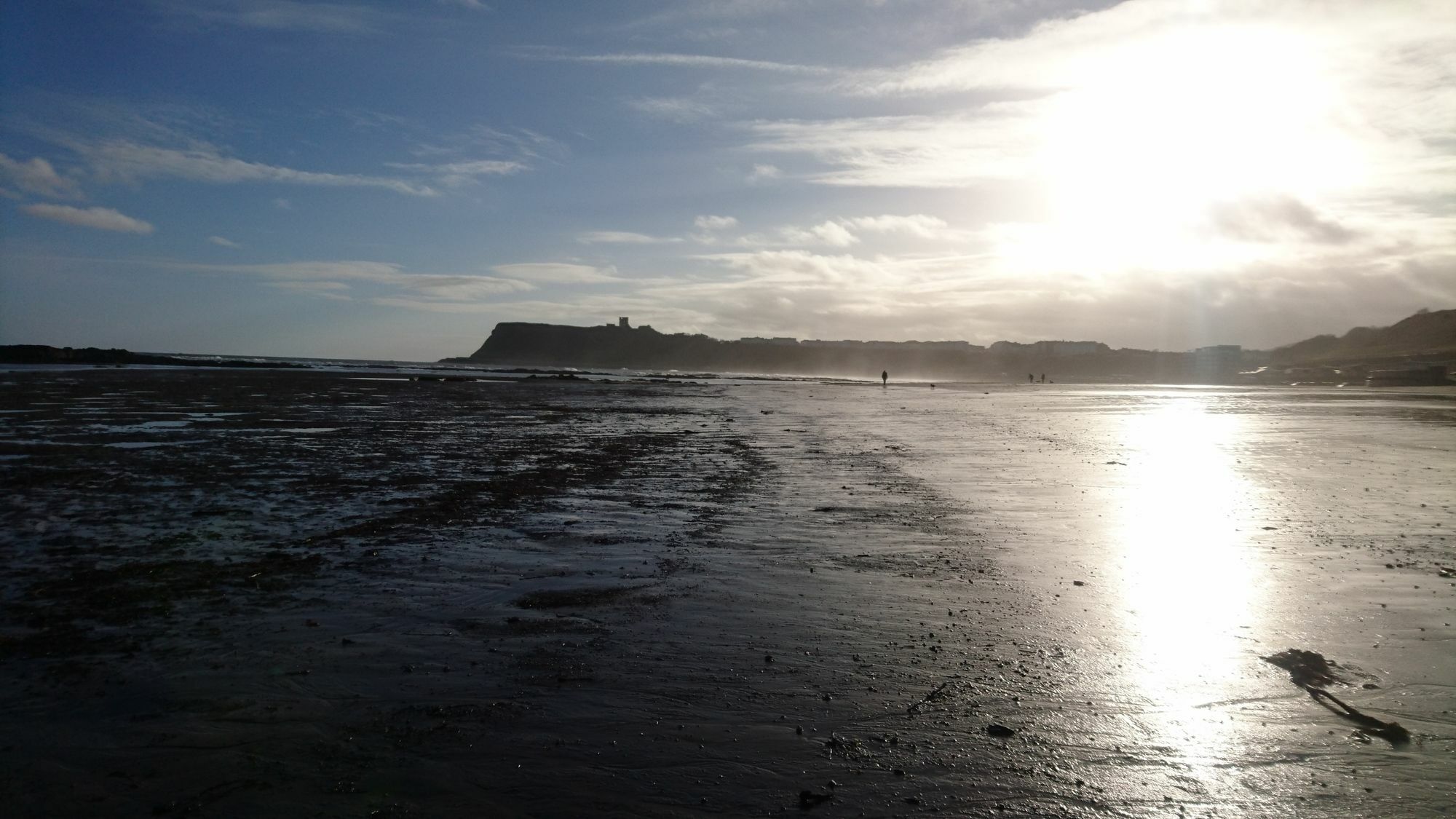 The Beaches Scarborough Esterno foto